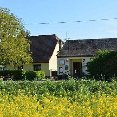 Gaststatte "Zum Fahrmann" Otel Walternienburg Dış mekan fotoğraf